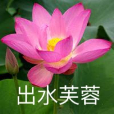 大唐仙妖劫九游手机版下载